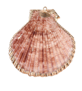 Shell Pendant Pink