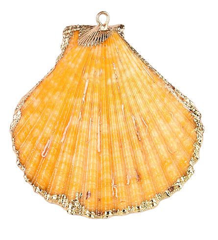 Shell Pendant Yellow