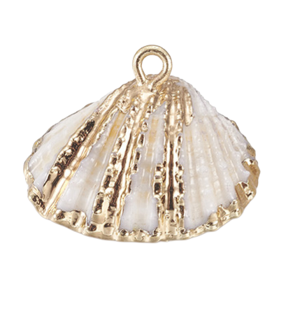 White Shell Pendant