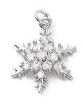 Silver Snowflake